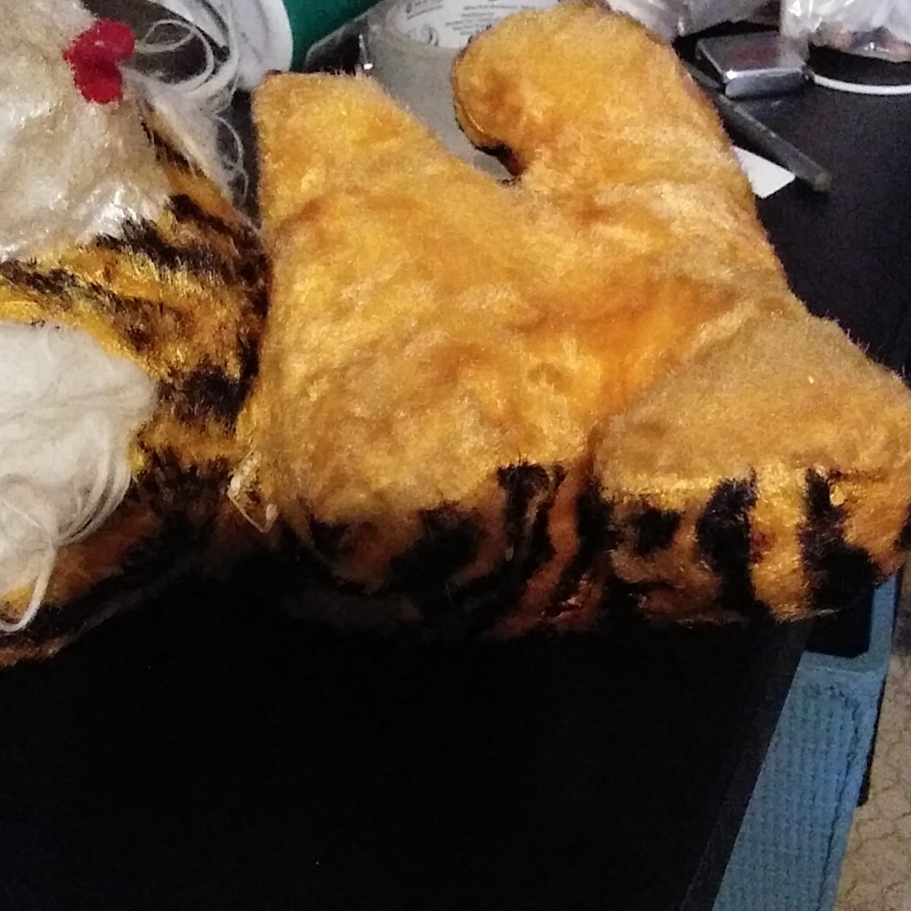 Tiger - Picture 3 of 3